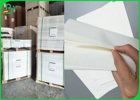 PE Coated Paper factory, Buy good quality PE Coated Paper Products from ...